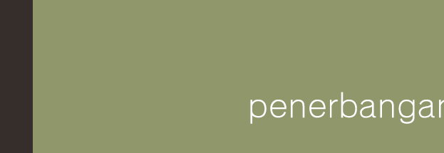 Penerbangan